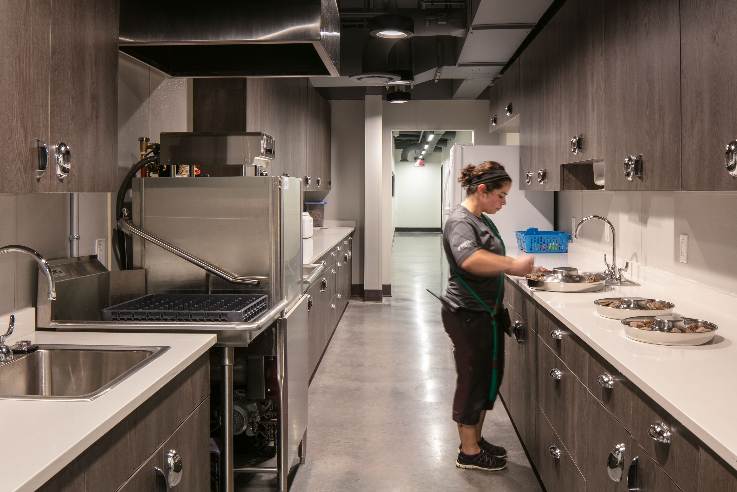 Humane Society of Tampa Bay - Javier Garcia Architectural Photographer
