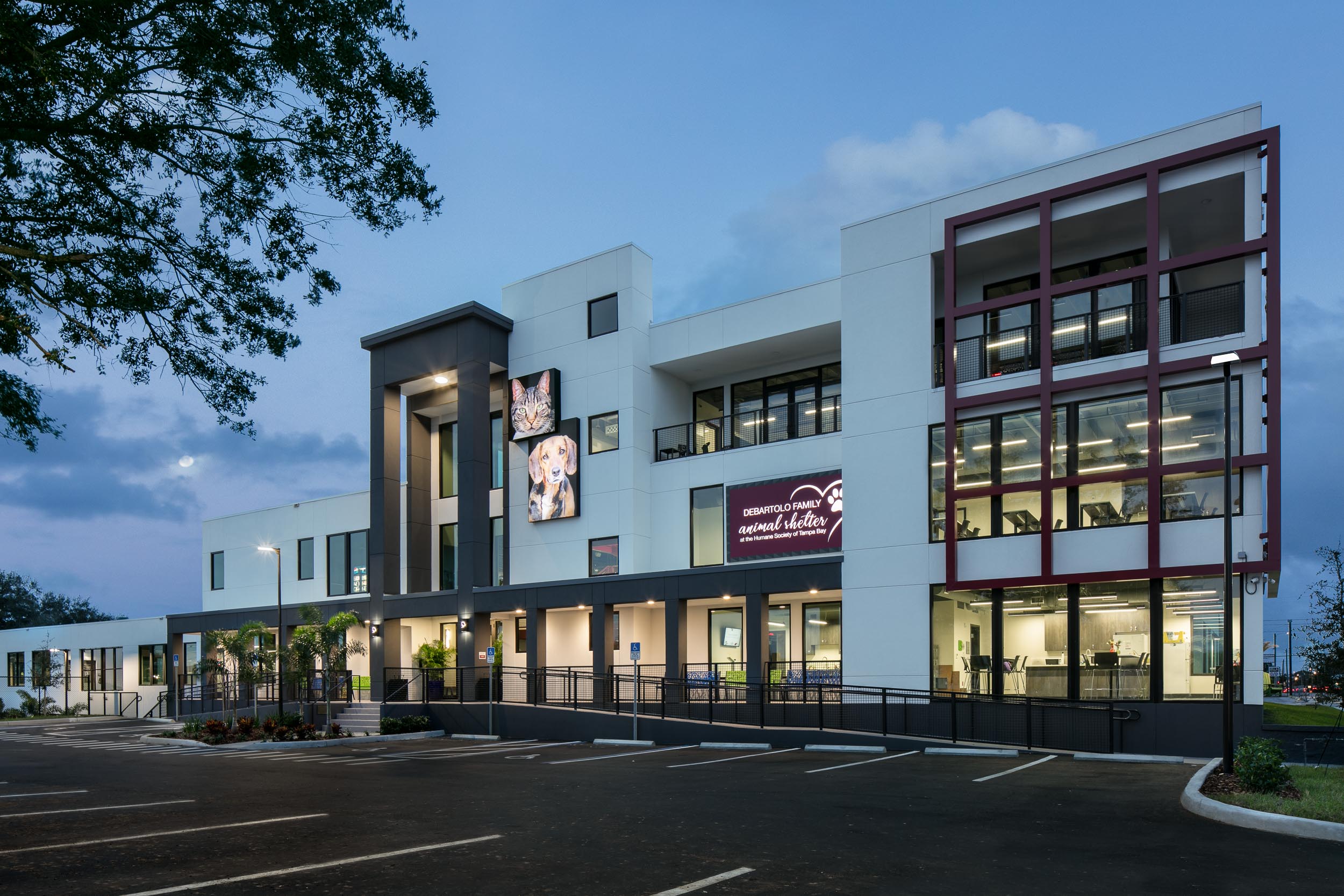 Humane Society of Tampa Bay - Javier Garcia Architectural Photographer